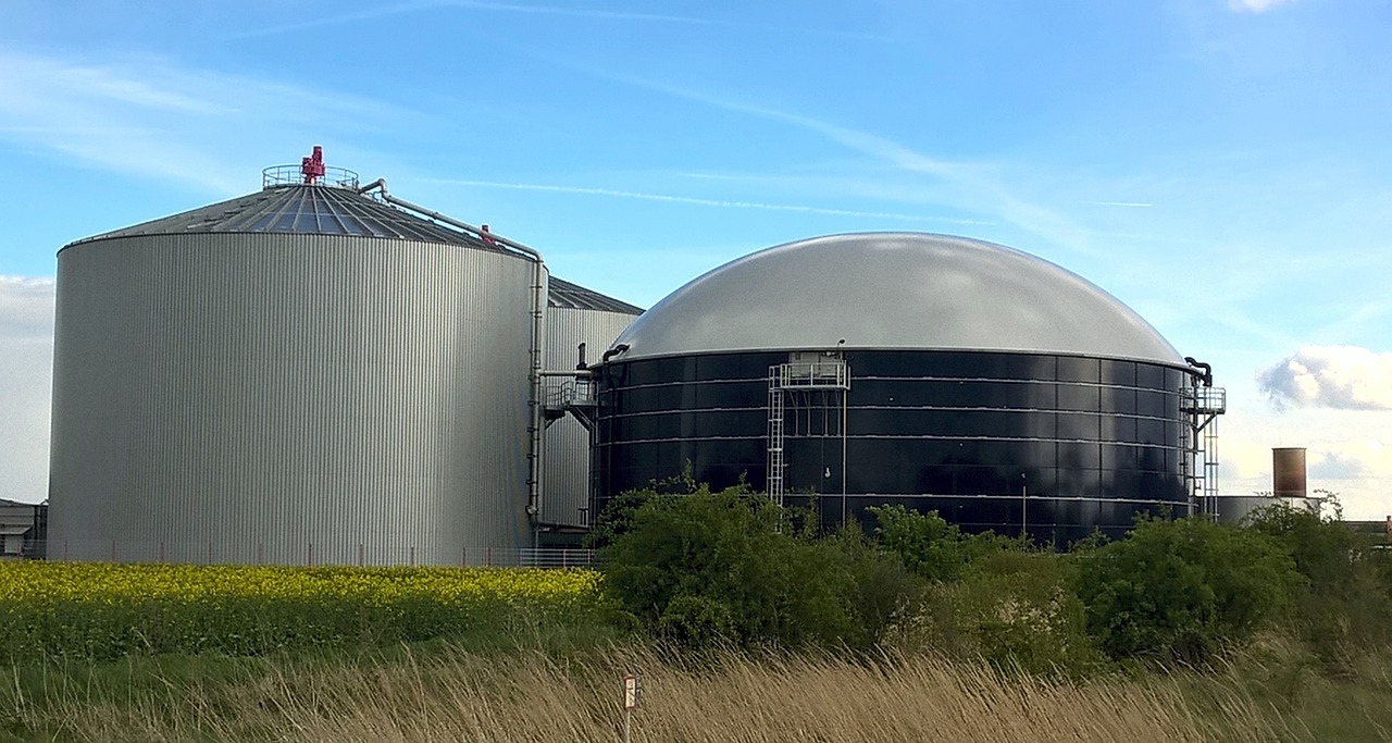 Industrial Biogas