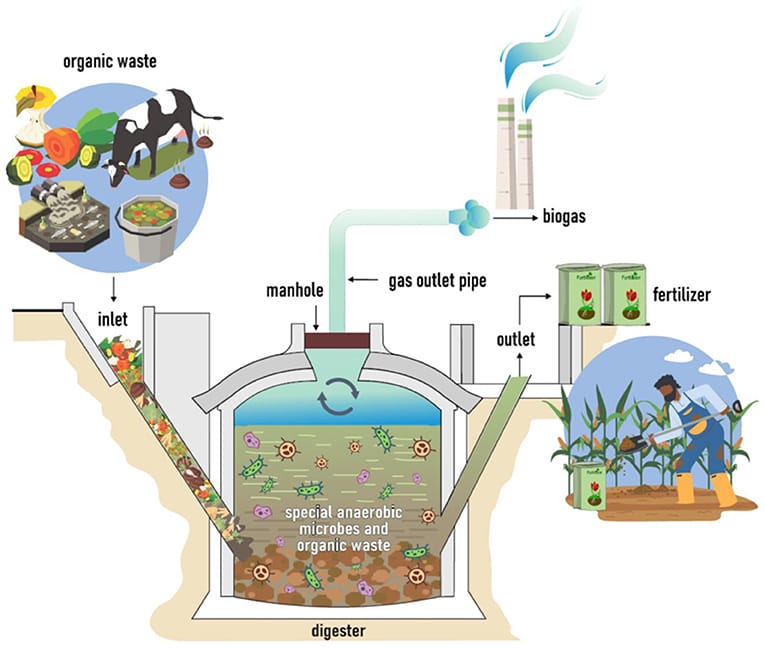 Biogas Process Diagram
